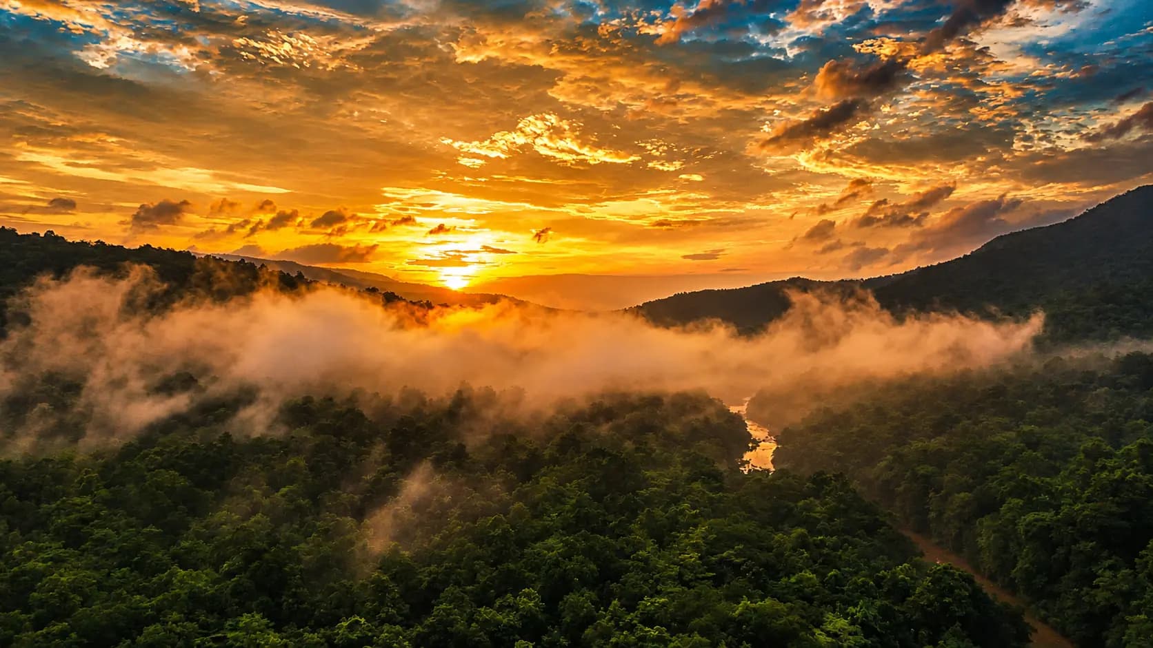 Best time to visit Similipal Tiger Reserve with scenic forest roads and lush greenery