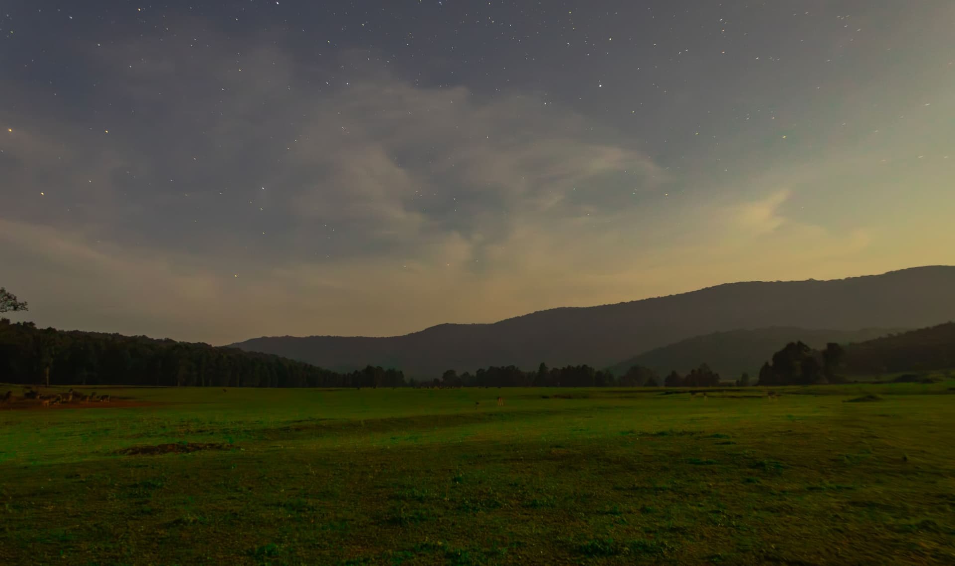Similipal forest conservation landscape