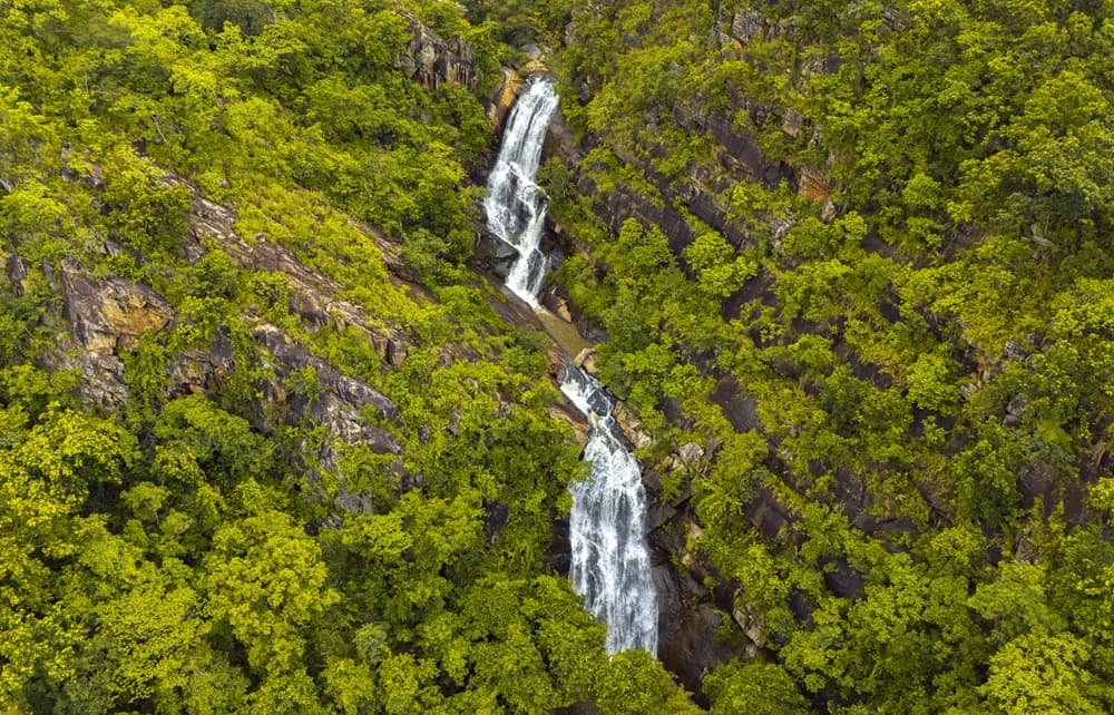 Forest trail and greenery in Similipal