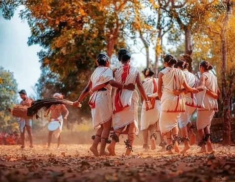 Cultural travel package for Similipal featuring tribal community experiences and forest stays