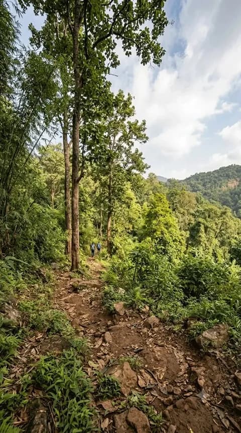 Forest trails of Similipal