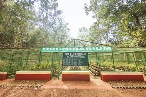 Tribal Information Centre
