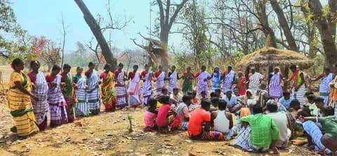 Flora and forests of Similipal