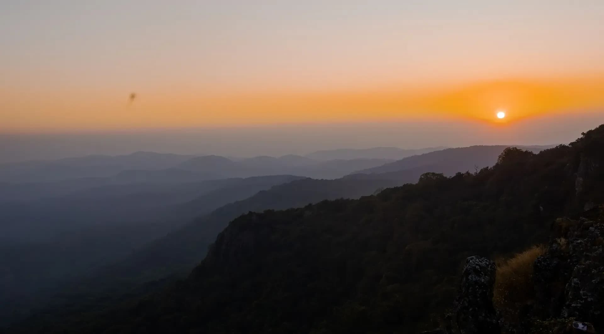 Immersive Similipal forest landscape for tourism packages