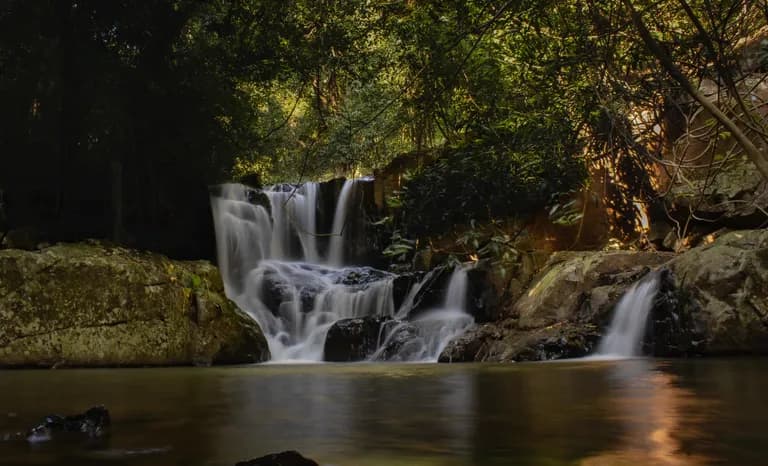 Nature of Similipal
