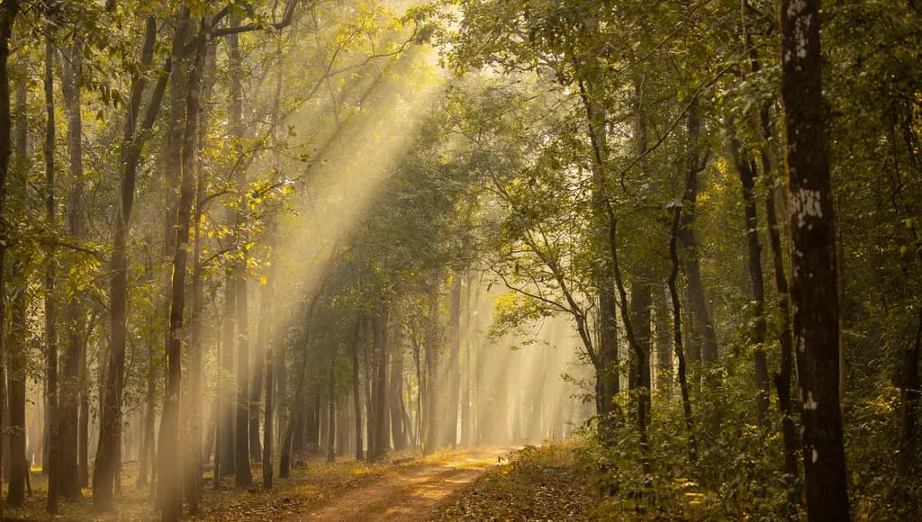 Largest tiger reserve in eastern India