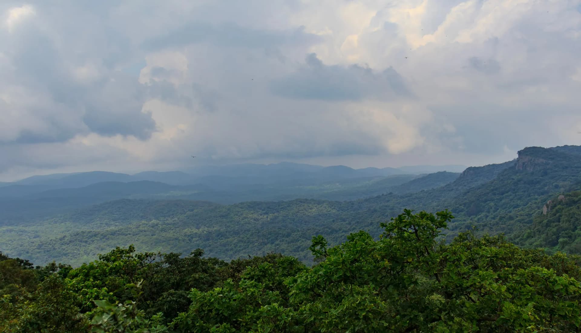 Forest road and waterfall atmosphere inside Similipal
